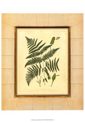 Framed Fern with Crackle Mat (H) IV Print