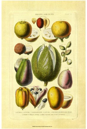 Framed Fruits and Nuts II Print