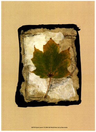 Framed Kyoto Leaves V Print
