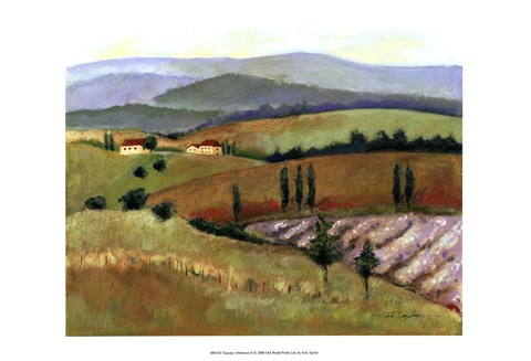 Framed Tuscany Afternoon II Print