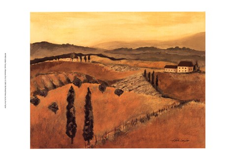 Framed Golden Tuscany Afternoon I Print