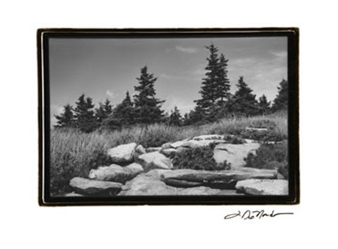 Framed Rocky Green Print