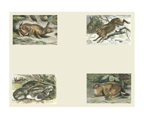 Framed Micro Bunnies Print