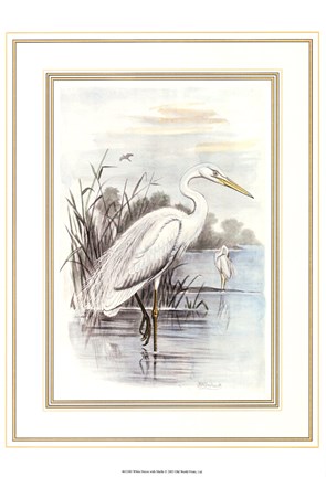 Framed White Heron Print