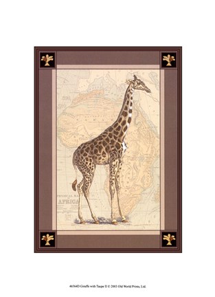 Framed Giraffe with Border II Print