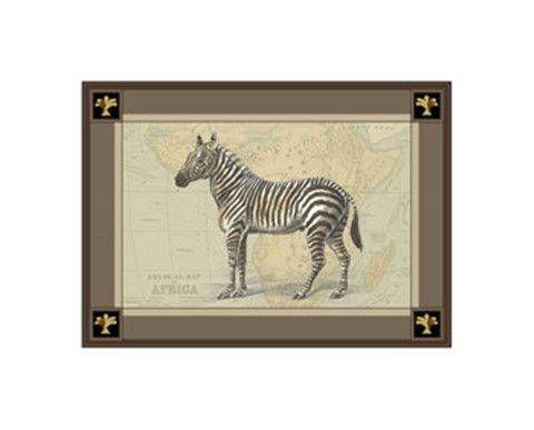 Framed Zebra with Border I Print