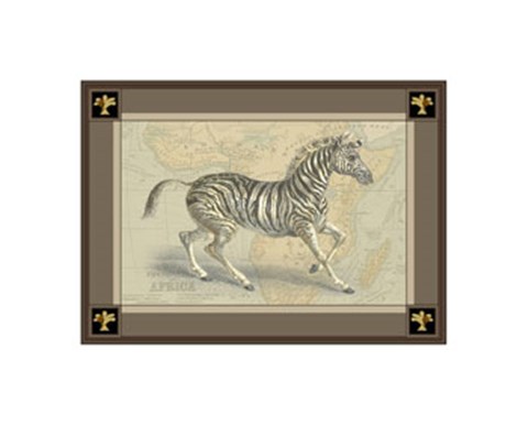 Framed Zebra with Border II Print