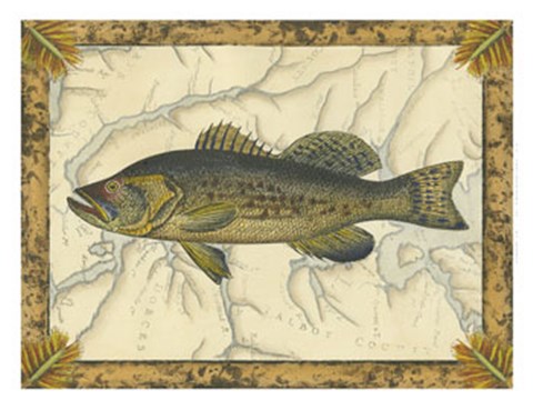 Framed Black Bass on Map Print