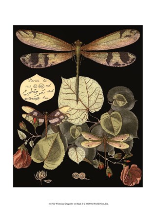 Framed Whimsical Dragonfly on Black II Print