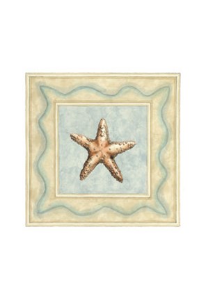 Framed Shell Collector III Print