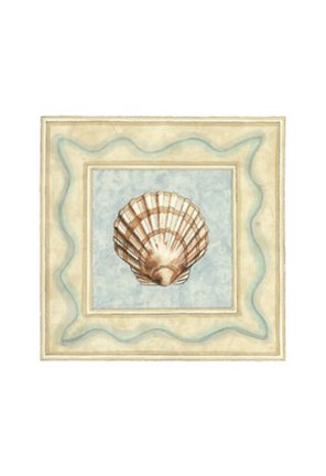 Framed Shell Collector IV Print