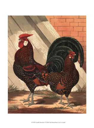 Framed Cassell&#39;s Roosters V Print