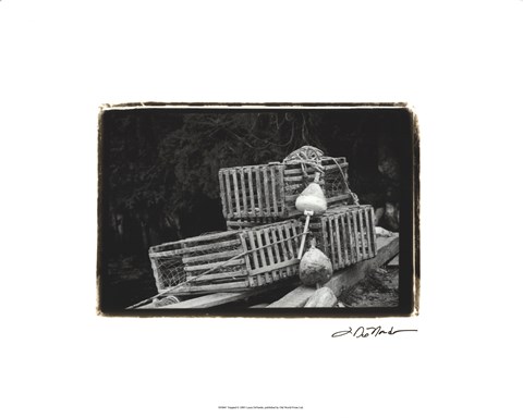 Framed Trapped Print