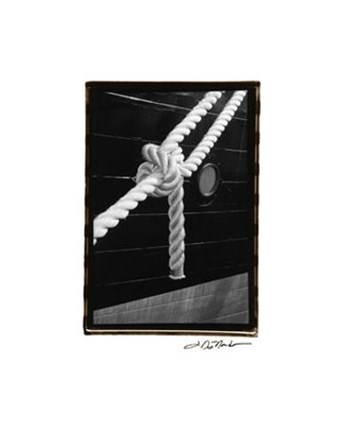 Framed Secure Harbor Print