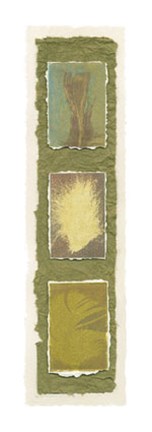 Framed Feather Fossils II on FAP Print