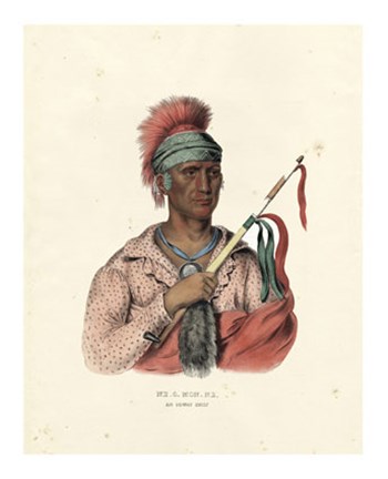 Framed Ioway Chief Print