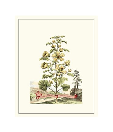 Framed Grandiose View II Print