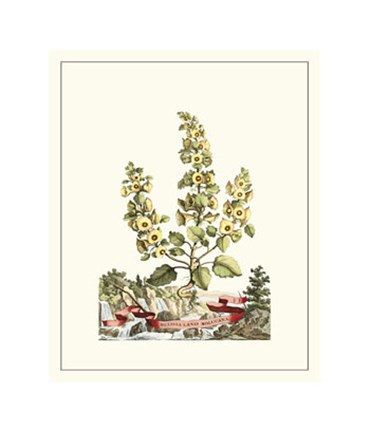 Framed Grandiose View IV Print