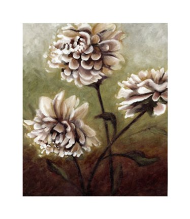 Framed Eastern Dahlias II Print