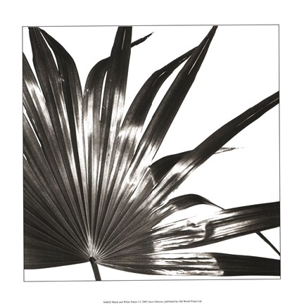 Framed Black and White Palm I Print