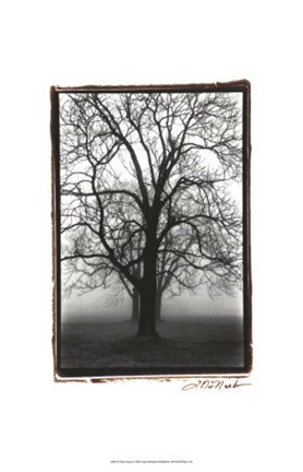 Framed Dewerelt Caart Map Print