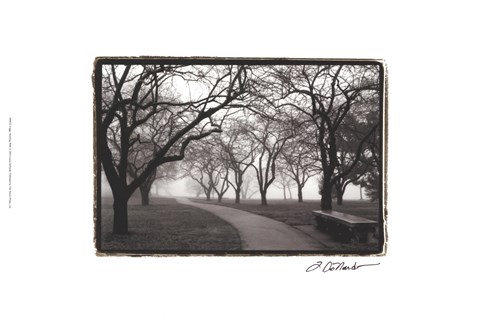 Framed Foggy Morning Walk Print