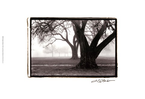 Framed Strength ; Beauty Print