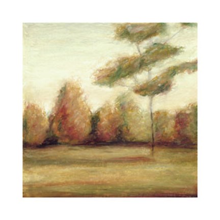 Framed Idle Country II Print