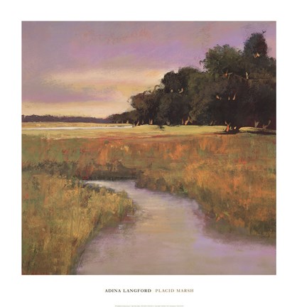 Framed Placid Marsh Print