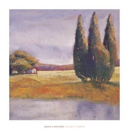 Framed Sunset Cypress Print