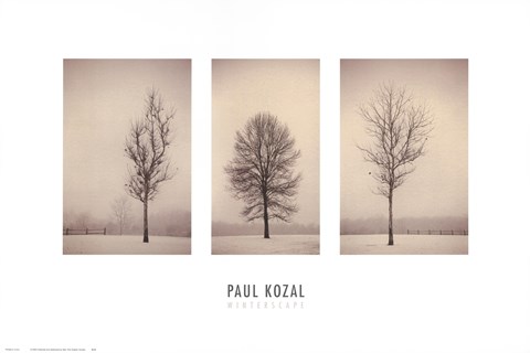 Framed Winterscape Print