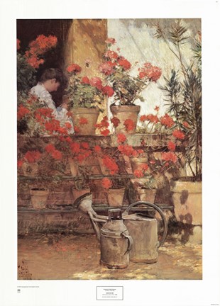 Framed Geraniums Print