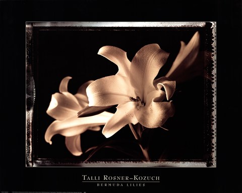 Framed Bermuda Lilies Print