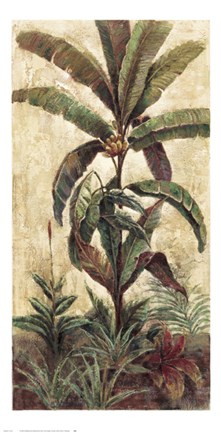 Framed Exotic Palms II Print