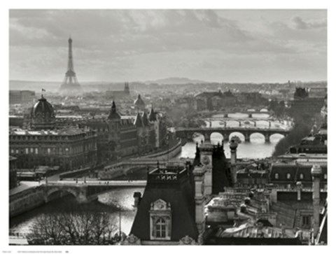 Framed View of Paris Print
