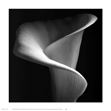Framed Calla Lily Print