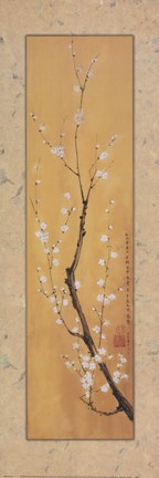 Framed Cherry Blossom II Print