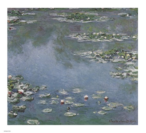 Framed Waterlilies Print