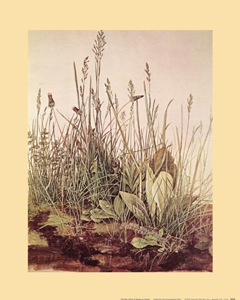 Framed Tall Grass Print