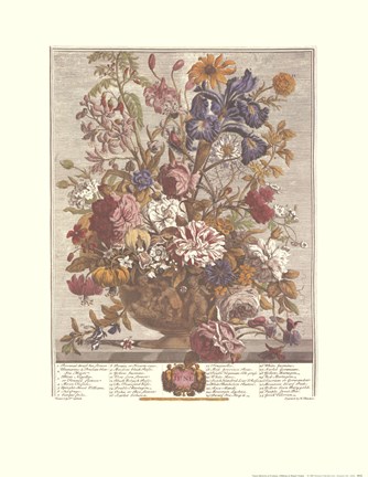 Framed June/Twelve Months of Flowers, 1730 Print