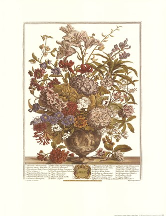Framed July/Twelve Months of Flowers, 1730 Print