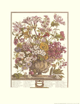 Framed October/Twelve Months of Flowers, 1730 Print