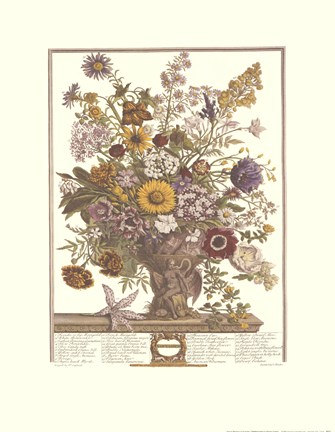 Framed November/Twelve Months of Flowers, 1730 Print