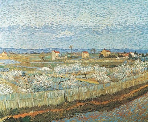 Framed Orchard Print