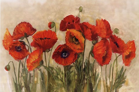Framed Vibrant Poppies Print
