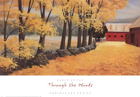 Framed Through the Woods Print