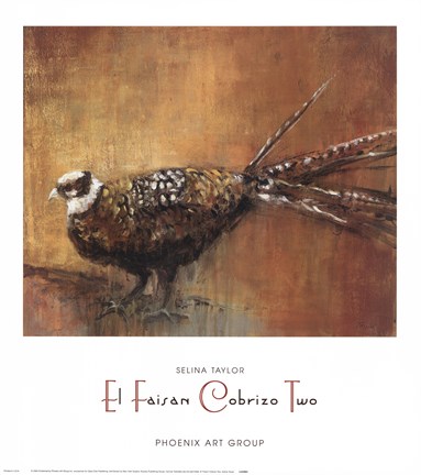 Framed El Faisan Cobrizo Two Print