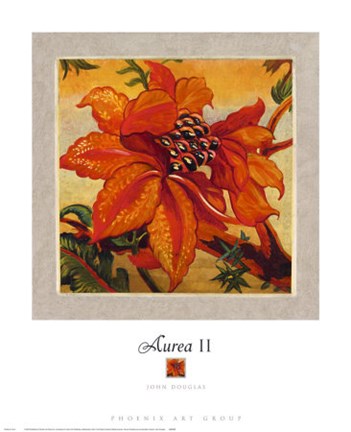 Framed Aurea II Print