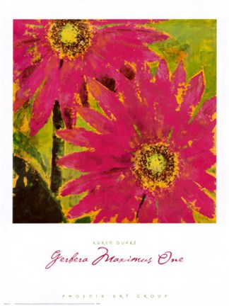 Framed Gerbera Maximus One Print