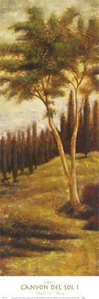 Framed Canyon del Sol I Print